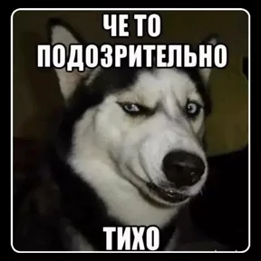 Стикер