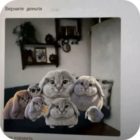 Котозаяц — стикер для MAX