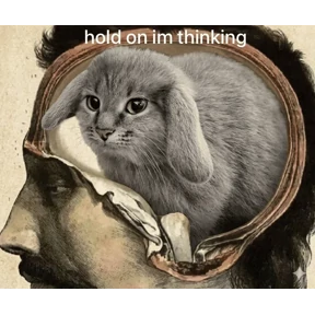 Котозаяц — стикер для MAX