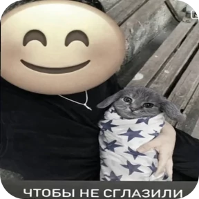 Котозаяц — стикер для MAX