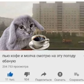 Котозаяц — стикер для MAX