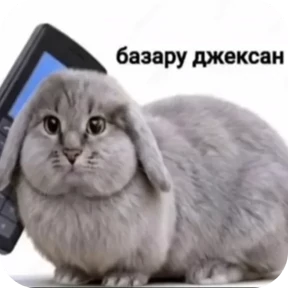 Котозаяц — стикер для MAX