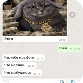 Котозаяц — стикер для MAX