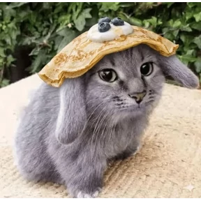Котозаяц — стикер для MAX