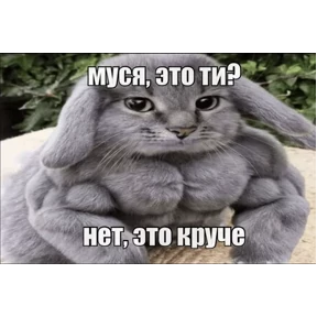 Котозаяц — стикер для MAX
