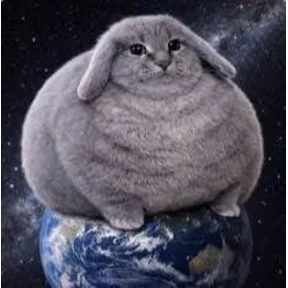 Котозаяц — стикер для MAX