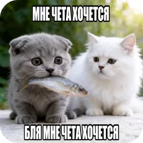 Котозаяц — стикер для MAX