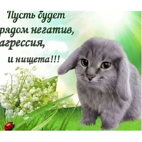Котозаяц — стикер для MAX