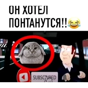 Котозаяц — стикер для MAX