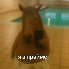 Стикер 35 из набора Жиза