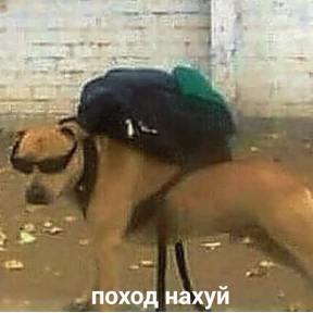 Стикер 36 из набора Жиза