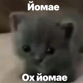 Стикер 45 из набора Заводовские
