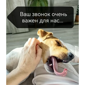 Стикер 11 из набора Жизнь прекрасна