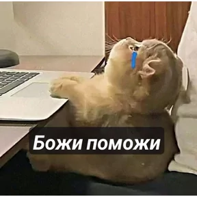 Стикер
