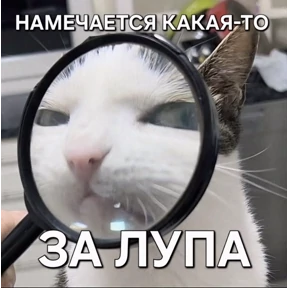 Стикер 77 из набора Нормальные стикеры в MAX
