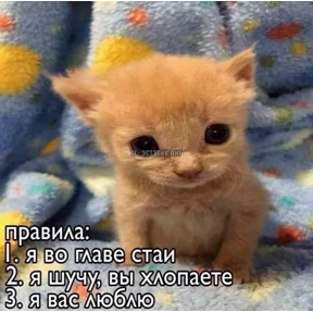 Стикер 79 из набора Нормальные стикеры в MAX