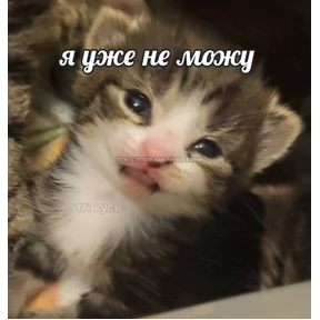 Стикер 78 из набора Нормальные стикеры в MAX