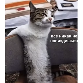Стикер 25 из набора Чево