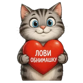 Фото — 6 августа 2026 г. в 23:15:19.599