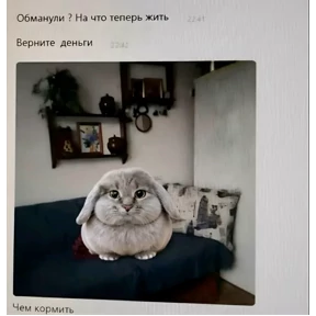 Vafli — стикер для MAX