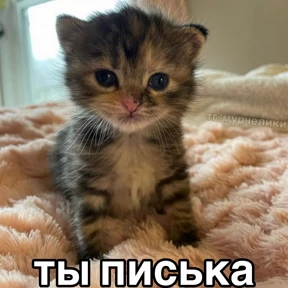 Стикер 13 из набора Пу пу пу