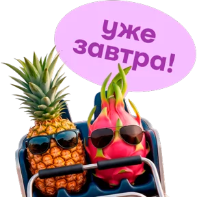 Фото — 16 августа 2026 г. в 13:00:02.736