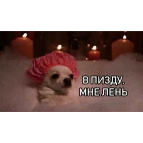 Стикер 33 из набора mood