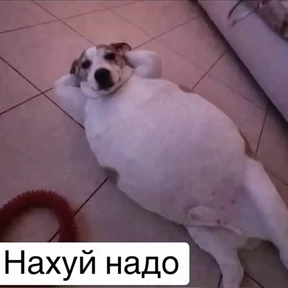 Стикер 34 из набора mood