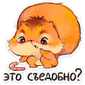 Белка — стикер для MAX
