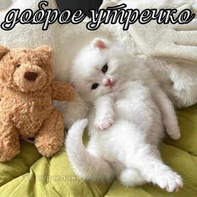 Стикер 25 из набора Доброва утра