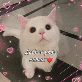 Стикер 23 из набора Доброва утра