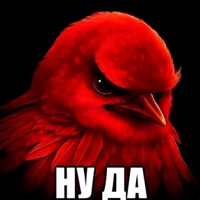 Стикер