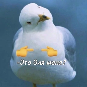 Стикер 31 из набора rrollfr