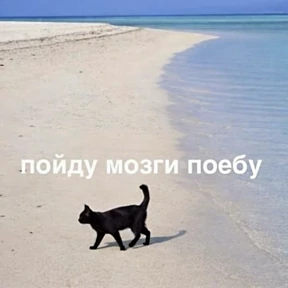 Стикер 33 из набора rrollfr
