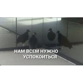 Стикер 28 из набора Чево