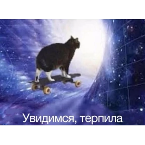 Стикер 1 из набора Котике