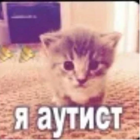 Стикер 3 из набора Котике