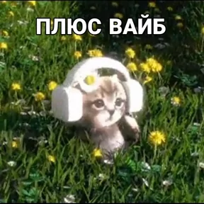 Стикер из сообщения канала