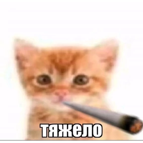 Стикер 8 из набора Котике