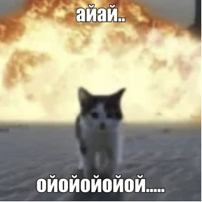 Стикер 7 из набора Котике