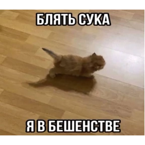 Стикер 12 из набора Котике