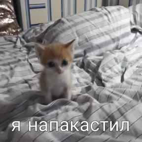 Стикер