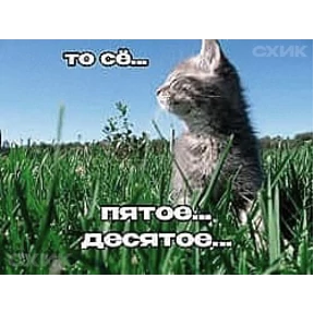 Стикер 13 из набора Котике