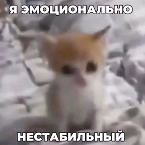 Стикер 17 из набора Котике