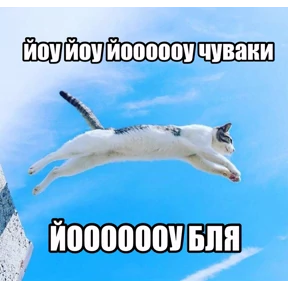 Стикер 18 из набора Котике