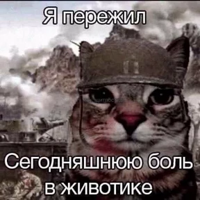 Стикер 19 из набора Котике