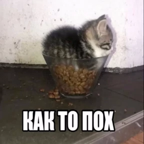 Стикер 22 из набора Котике