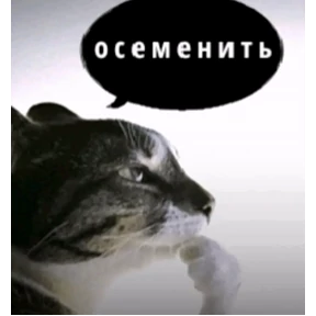 Стикер 23 из набора Котике