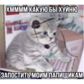 Стикер 29 из набора Котике