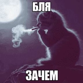 Стикер 27 из набора Котике